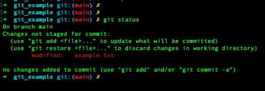 Git status showing a single change made.